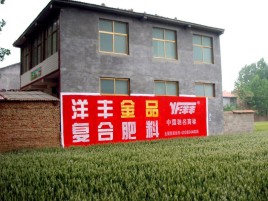 闽侯如何让墙体广告展现最大化效果